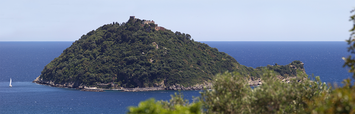 IMG 0834 Panorama