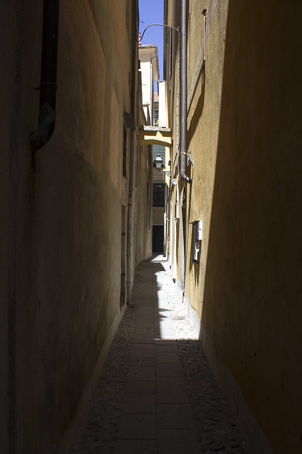 IMG 0871
