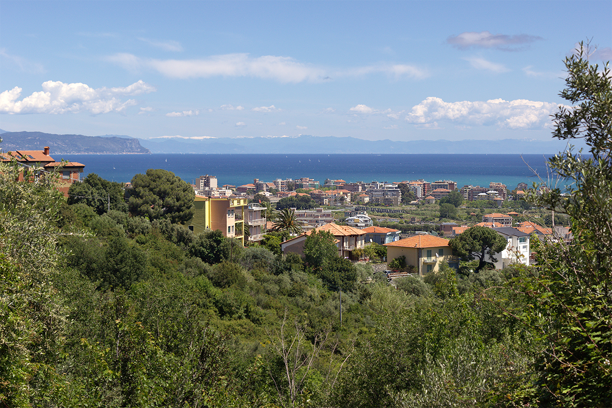 IMG 1480 Panorama