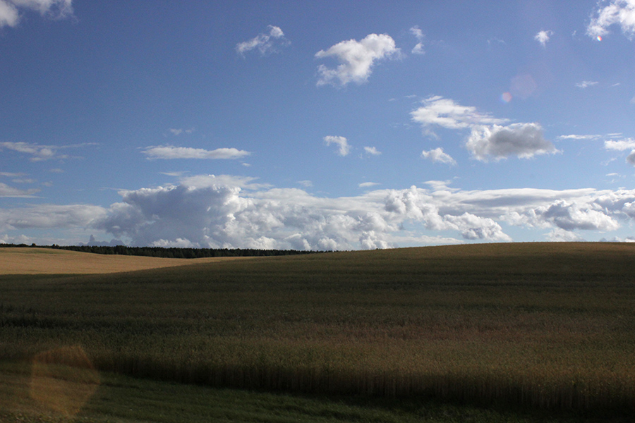 IMG 9890